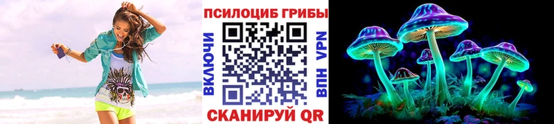 Галлюциногенные грибы Psilocybe  Гусь-Хрустальный 